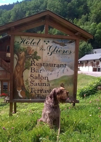 Imagen de los exteriores del Hotel Les Gli&egrave;res. Foto 17