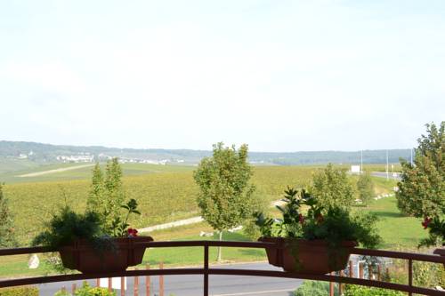 Imagen de la habitación del Hotel Les Grains D'argent Dizy - Epernay. Foto 6
