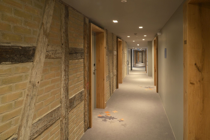 Imagen de los interiores del Hotel Les Haras. Foto 14