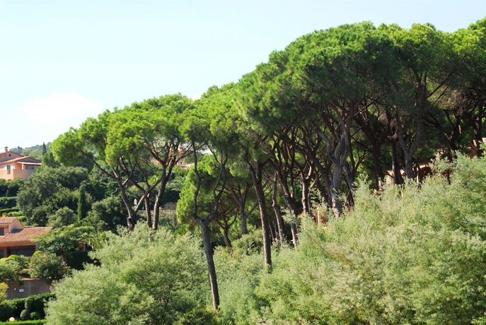 Imagen general del Hotel Les Jardins De Sainte Maxime. Foto 2