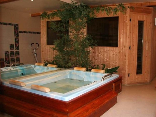 Imagen de la piscina del Hotel Les Mottets. Foto 9