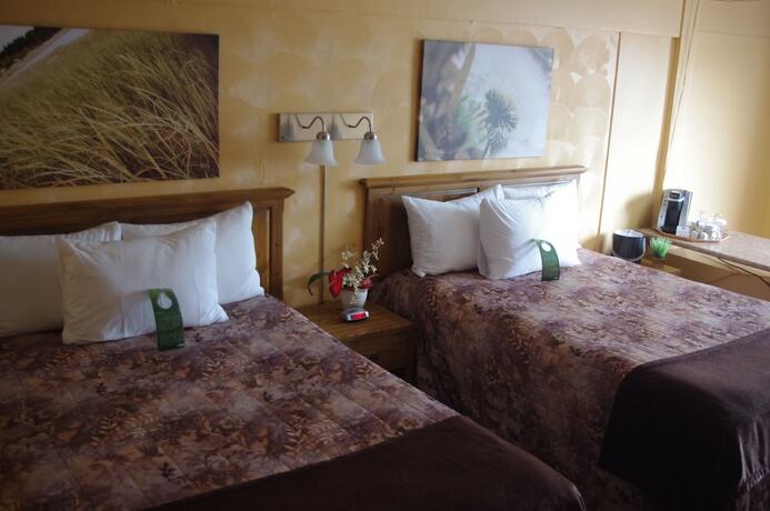 Imagen general del Hotel Les Mouettes, Sept &Icirc;les. Foto 3