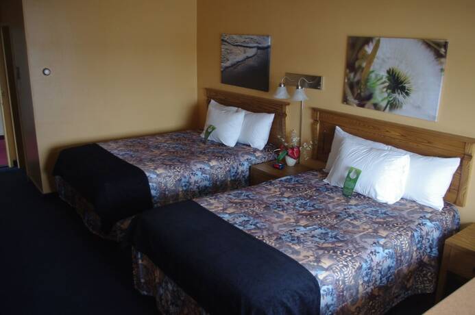 Imagen general del Hotel Les Mouettes, Sept &Icirc;les. Foto 4