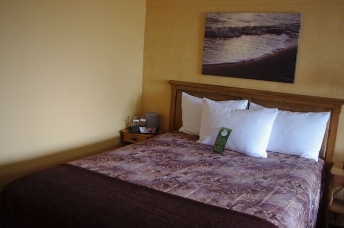 Imagen de la habitación del Hotel Les Mouettes, Sept &Icirc;les. Foto 14