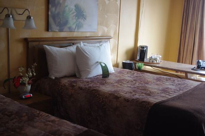 Imagen de la habitación del Hotel Les Mouettes, Sept &Icirc;les. Foto 20