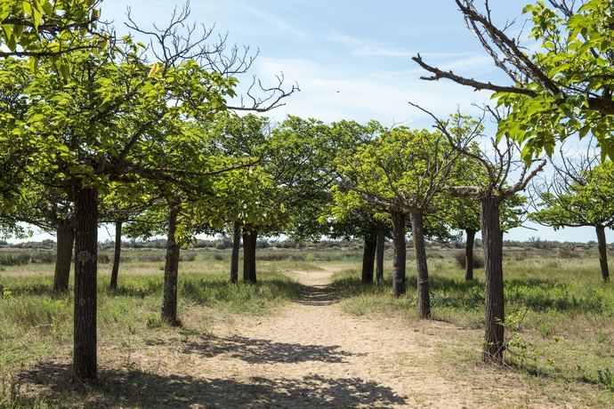 Imagen de los exteriores del Hotel Les M&ucirc;riers. Foto 14