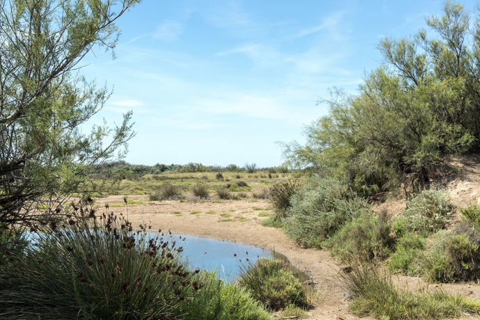 Imagen de los exteriores del Hotel Les M&ucirc;riers. Foto 15