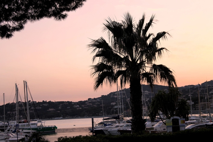 Imagen de los exteriores del Hotel Les Palmiers, Sainte-Maxime. Foto 12