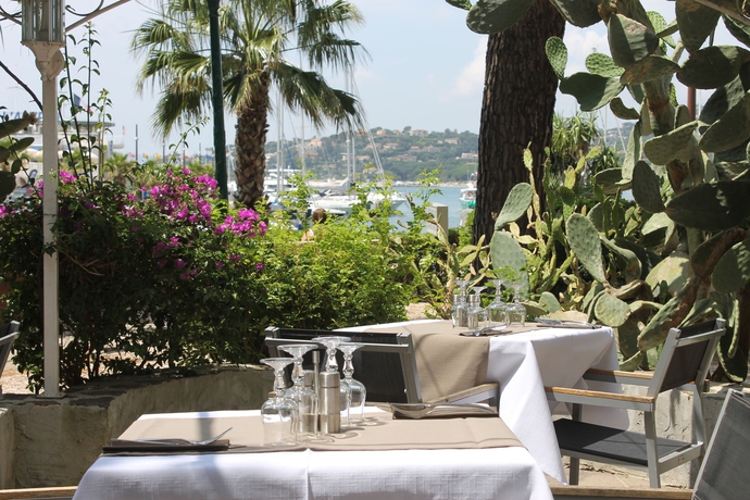 Imagen del bar/restaurante del Hotel Les Palmiers, Sainte-Maxime. Foto 7