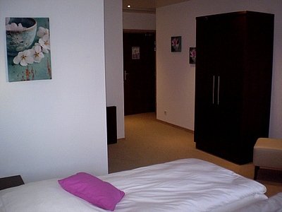 Imagen general del Hotel Les Portes De La Vall&eacute;e. Foto 10