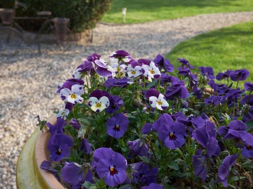 Imagen de la habitación del Hotel Les Prés D'ondine. Foto 9