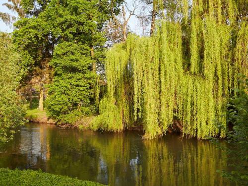 Imagen de la habitación del Hotel Les Prés D'ondine. Foto 10