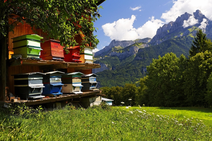 Imagen general del Hotel Les Rhodos. Foto 2