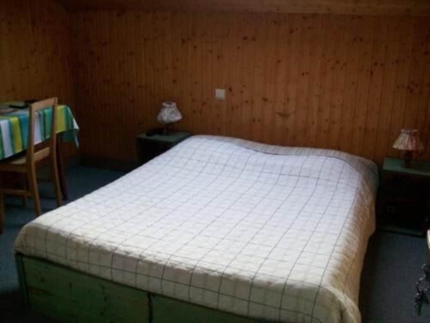 Imagen de la habitación del Hotel Les Sapins, G&eacute;rardmer. Foto 5