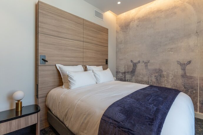 Imagen de la habitación del Hotel Les Tr&eacute;sori&egrave;res. Foto 18