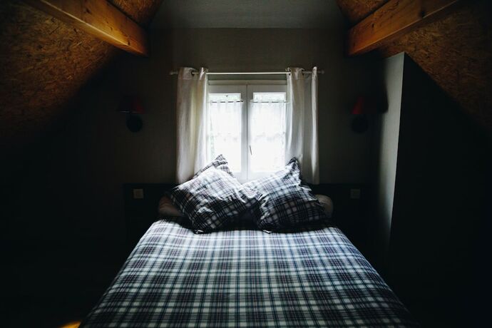 Imagen general del Hotel Les chalets d\'Arrens. Foto 5