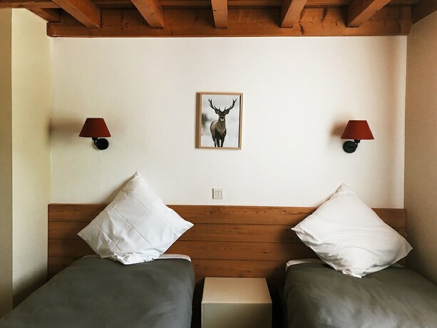 Imagen general del Hotel Les chalets d\'Arrens. Foto 8