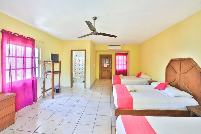 Imagen general del Hotel Les trois singes - Party and Friendly Hostel. Foto 3