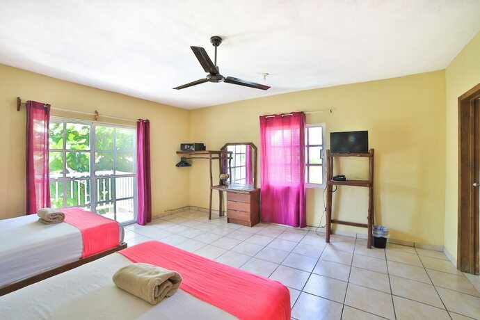 Imagen general del Hotel Les trois singes - Party and Friendly Hostel. Foto 4