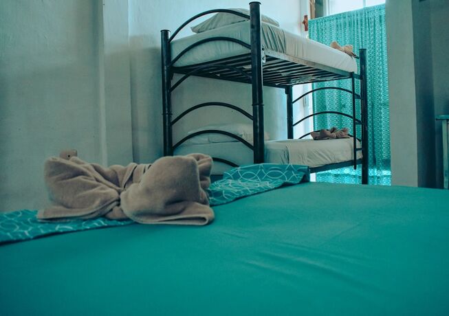 Imagen general del Hotel Les trois singes - Party and Friendly Hostel. Foto 5