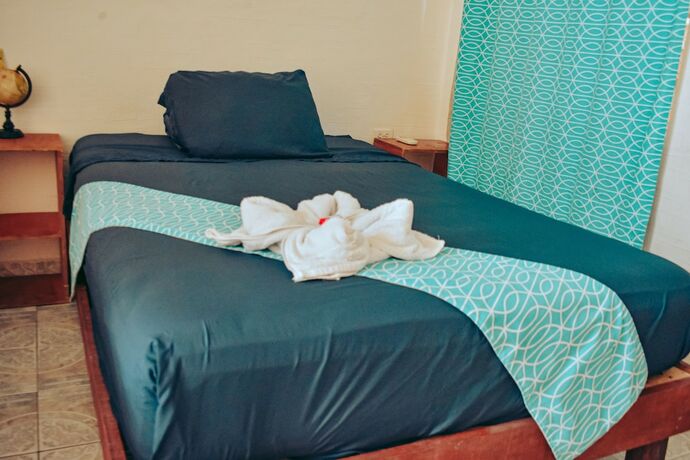 Imagen general del Hotel Les trois singes - Party and Friendly Hostel. Foto 7
