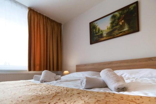 Imagen de la habitación del Hotel Lesana, Vysok&eacute; Tatry . Foto 8