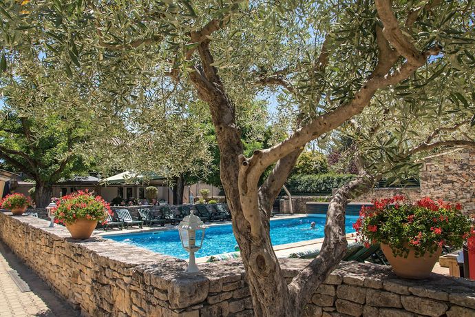 Imagen de la piscina del Hotel L\'escarbille. Foto 19