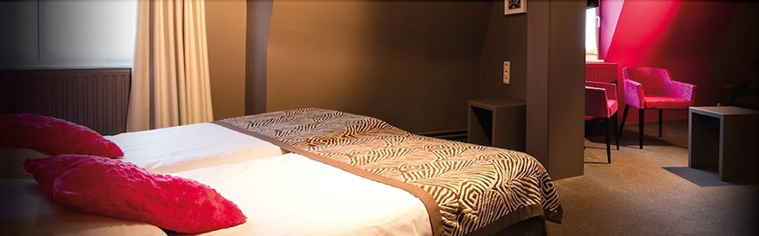 Imagen de la habitación del Hotel L'esprit Sain. Foto 17