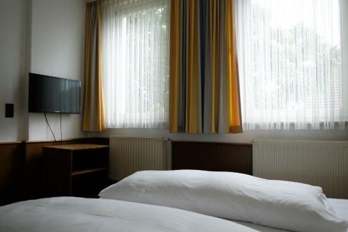 Imagen general del Hotel Lessinghof. Foto 4