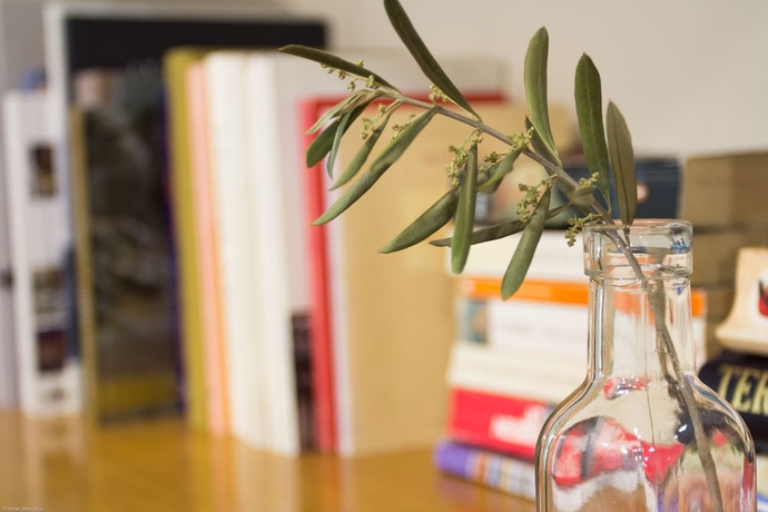 Imagen de los interiores del Hotel Lesvion. Foto 18