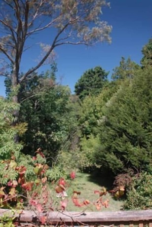 Imagen de los exteriores del Hotel Leura Lady. Foto 6