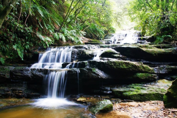 Imagen general del Hotel Leura Rose Cottage. Foto 4