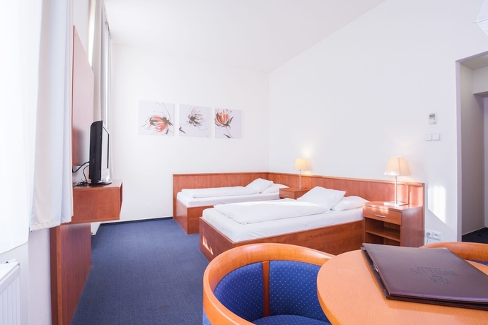 Imagen de la habitación del Hotel Lev, Lovosice. Foto 13