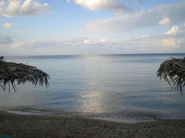 Imagen del bar/restaurante del Hotel Levantino Studios. Foto 4