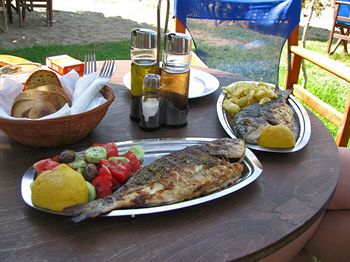 Imagen de los exteriores del Hotel Levantino Studios. Foto 12