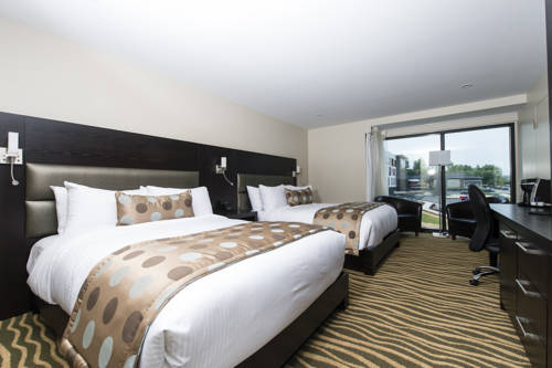 Imagen de la habitación del Hotel Levesque. Foto 7