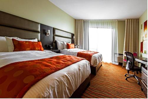 Imagen de la habitación del Hotel Levesque. Foto 16