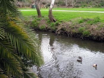 Imagen general del Hotel Levi Adelaide Holiday Park. Foto 2