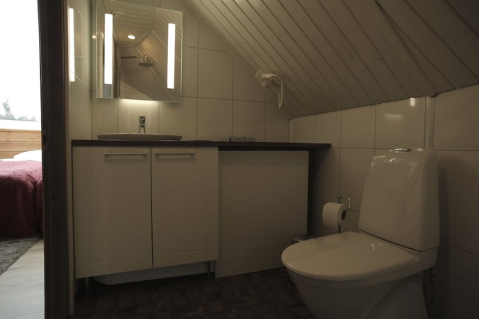 Imagen de la habitación del Hotel Levi Northern Lights Huts. Foto 16