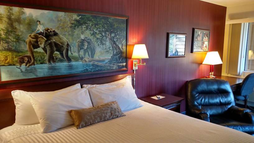Imagen de la habitación del Hotel Lewis River Inn. Foto 12