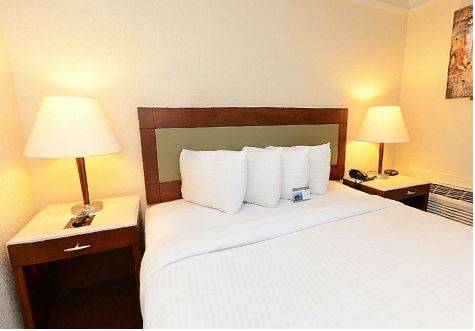 Imagen de la habitación del Hotel Lexington Inn and Suites Nw Chicago Elgin. Foto 5