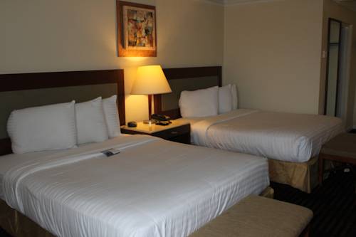 Imagen de la habitación del Hotel Lexington Inn and Suites Nw Chicago Elgin. Foto 8