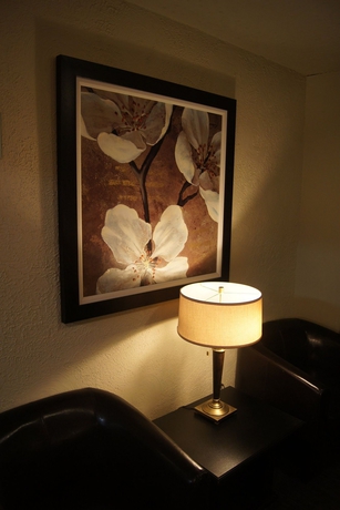 Imagen de los interiores del Hotel L'express. Foto 14