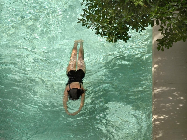 Imagen de la piscina del Hotel L'h&ocirc;tel Particulier, Arles. Foto 17