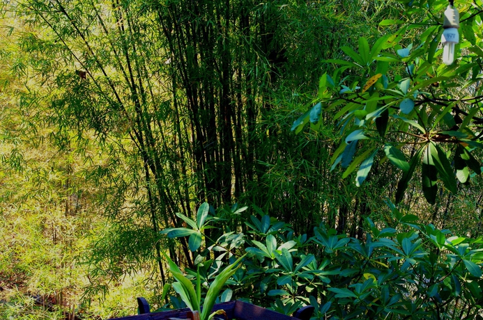 Imagen de los exteriores del Hotel Lhongkhao Resort. Foto 11