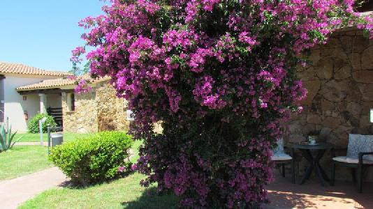 Imagen general del Hotel Li Suari Village. Foto 5