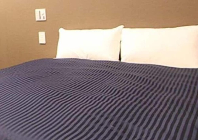 Imagen de la habitación del Hotel LiVEMAX AKIHABARAKITA. Foto 6