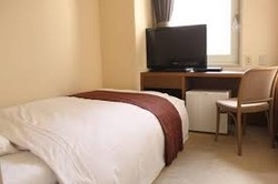 Imagen de la habitación del Hotel LiVEMAX BUDGET Tokyo Kiba. Foto 2