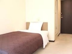 Imagen de la habitación del Hotel LiVEMAX BUDGET Tokyo Kiba. Foto 3