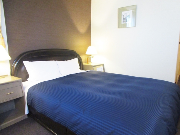 Imagen de la habitación del Hotel LiVEMAX Sapporo Nakajima Park GRANDE. Foto 6